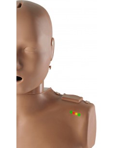 Addestramento alla...