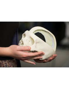 Cranio con Falce del... 2