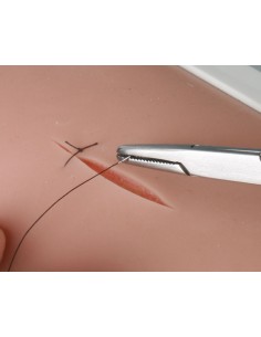 Addestramento alla sutura... 2