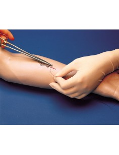 Braccio per Addestramento...