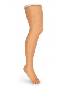 Gamba per Addestramento...