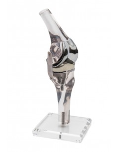 Erler ZImmer, Modello... 2