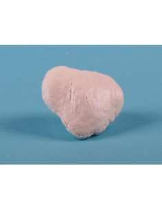 Erler Zimmer, modello...