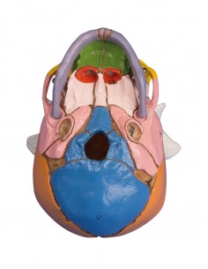 Erler Zimmer, modello... 2