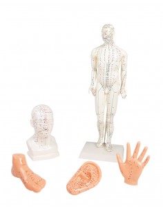 Kit per insegnamento...