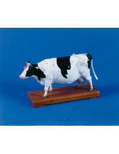 Agopuntura della mucca,...