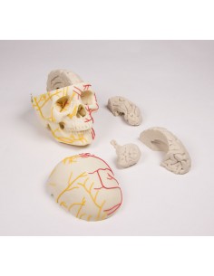 Erler Zimmer, modello...