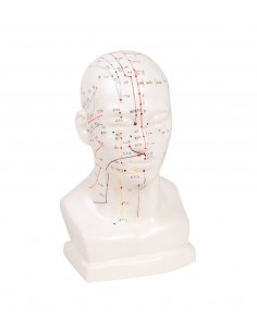 Testa per agopuntura...