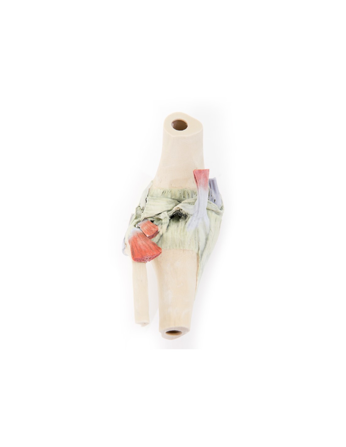 Articolazione del ginocchio, flessa -... Articolazione del ginocchio, flessa -...