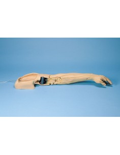 Braccio per l'addestramento...