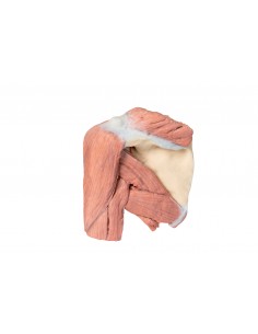 Dissezione della spalla... 2