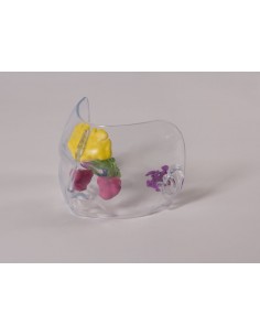 Modello anatomico di naso...