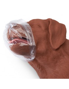 CasPeR  - Manichino di cane...