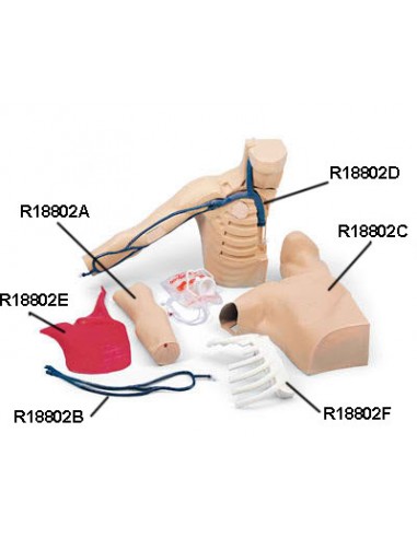 Simulatore per l'addestramento PICC -...