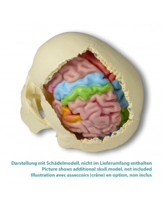 Erler Zimmer, modello...