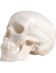 Erler Zimmer, modellino... 2