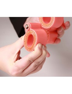 Erler Zimmer, modello...